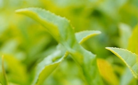 ���~��ُ(g��u)��ͬ����