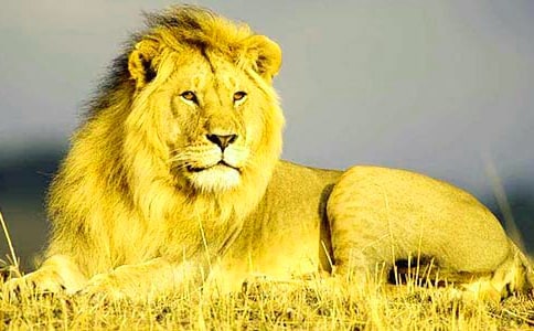 �K�ݪ{���֌�(d��o)���~�����x��