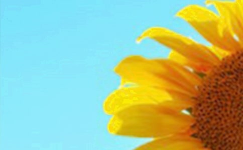 ��ô��(hu��)���տ���(ji��n)�ή�(hu��)��