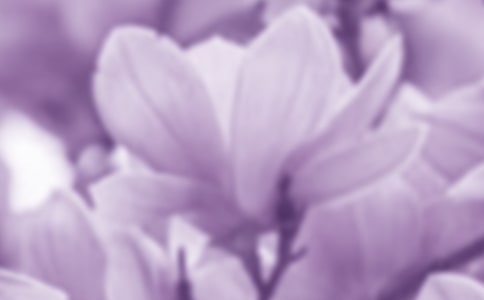 �茑(xi��)���m���ļѾ�