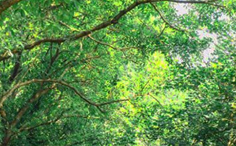 ����ů���簲���Z40��