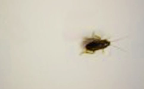 �������400�֣����x62ƪ��