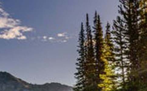 ���������L�����~�Z