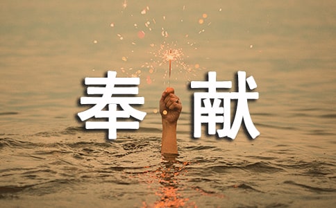 實用的奉獻作文匯總十篇