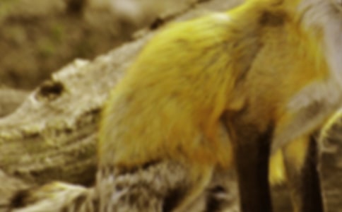 �����A�����f�ͺ�؂���ĺϼ�9ƪ