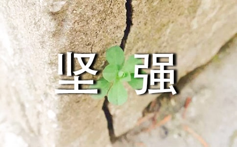 �����á��ԏ����ąR��10ƪ