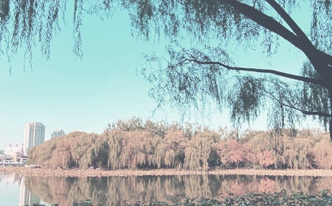 �＾��������4ƪ